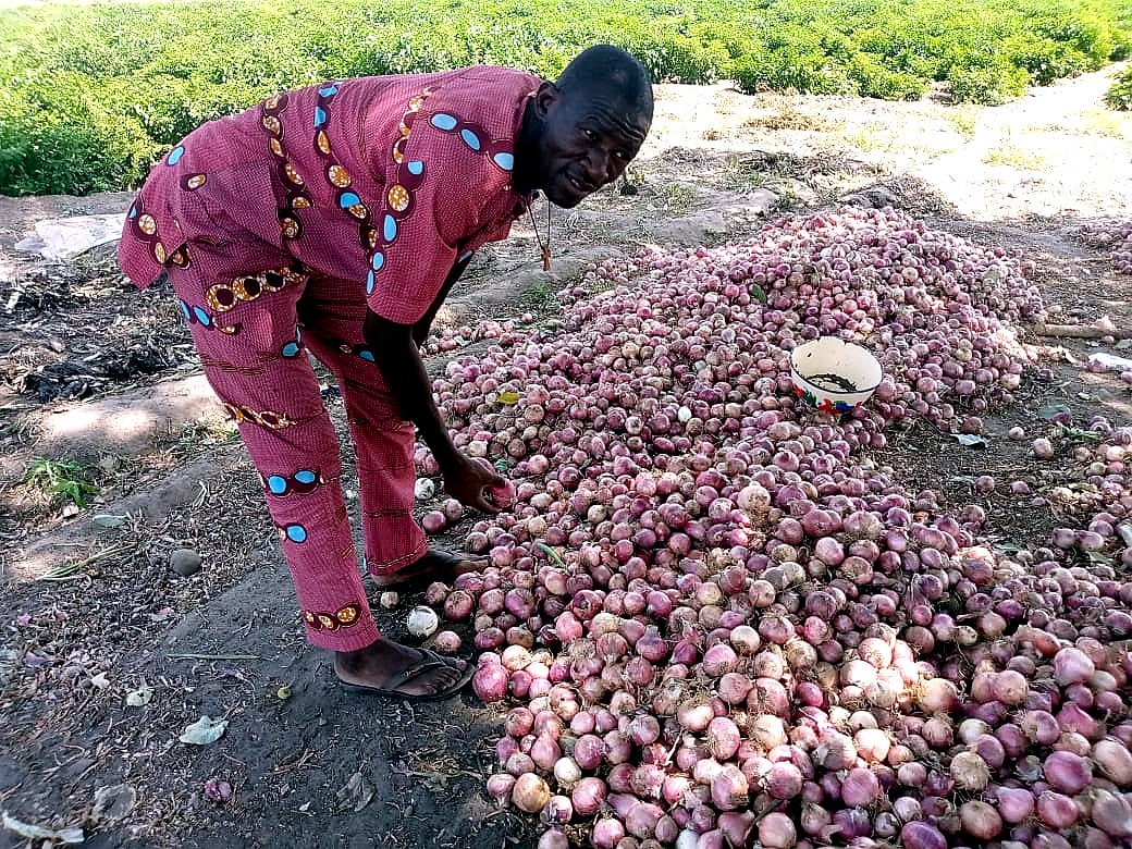 Agriculture Au Jardin De La Genese